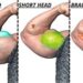 long head vs short head bicep exercises