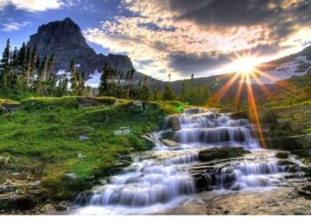 nature real ytr