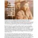 Celebrity Early Life and Success Story